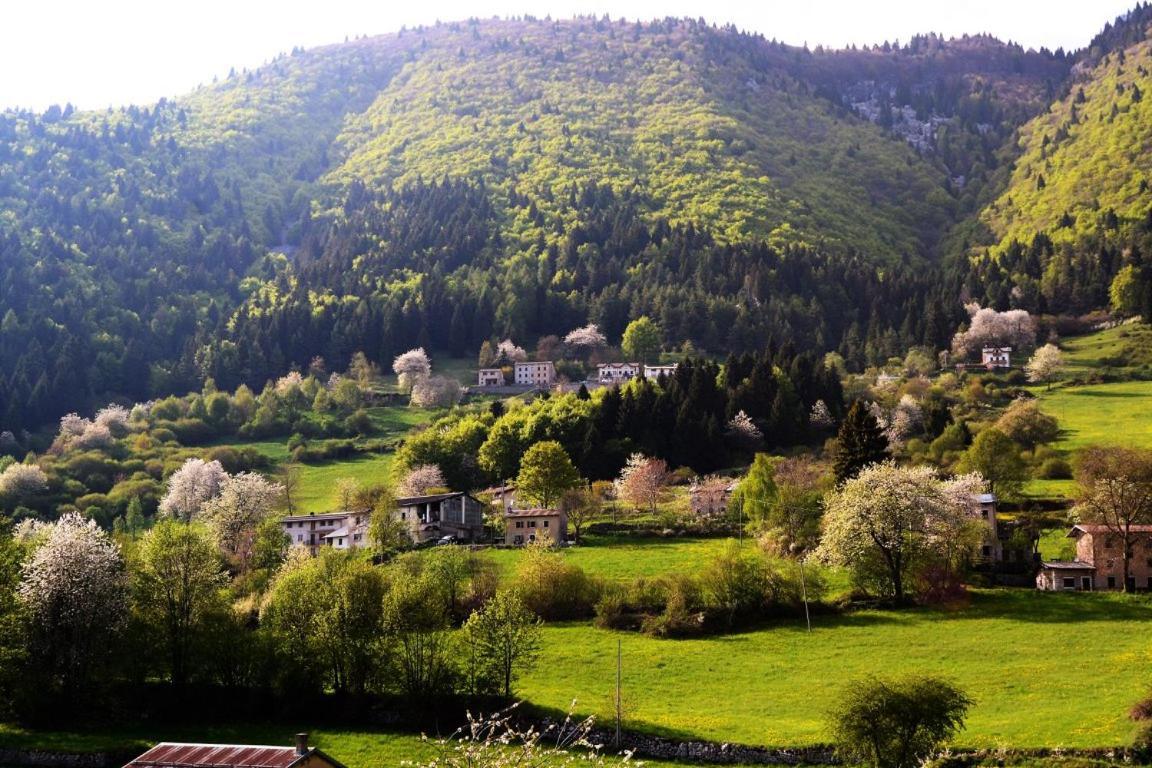 Hotel Alpi - Foza Екстериор снимка